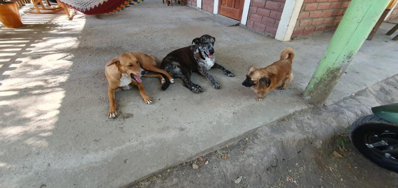 B&B, Family Run Homestay, Hospedaje La Penita Altagracia Kültér fotó