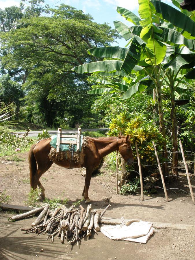 B&B, Family Run Homestay, Hospedaje La Penita Altagracia Kültér fotó